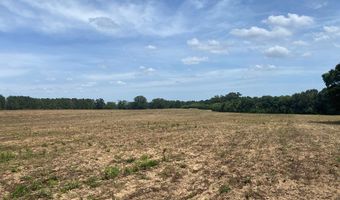 1 County Road 91, Banks, AL 36005