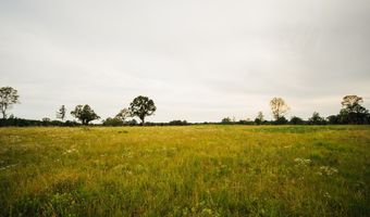 447 County Road 215, Abbeville, MS 38601