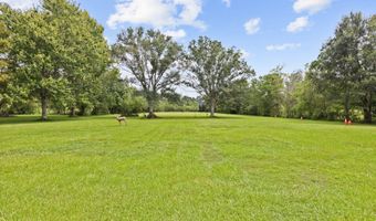 3308 Dutil Rd, Abbeville, LA 70510