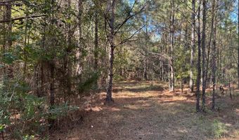Smith County Road 18-5a, Bay Springs, MS 39422