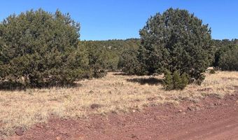 343 344 CR 8295, Concho, AZ 85924