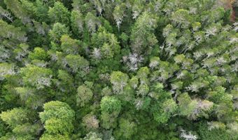 Prosper, Bandon, OR 97411