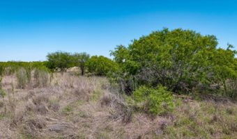 FM 735, Alice, TX 78332
