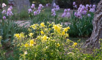 927 CAMINO VISTA RIO, Bernalillo, NM 87004