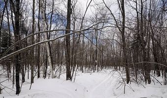 606 Log Lodge Rd, Winter, WI 54896