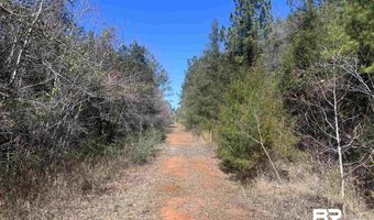 Robinsonville Road, Atmore, AL 36502