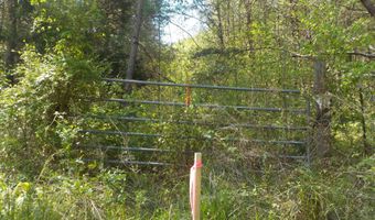 Steve Brown Road, Bean Station, TN 37708