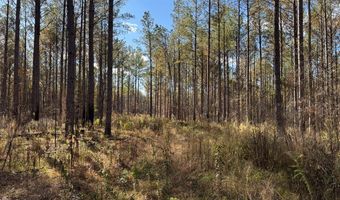 Hwy 9, Bruce, MS 38915