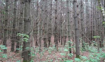 6 Xx US Highway 8, Apple River, WI 54001