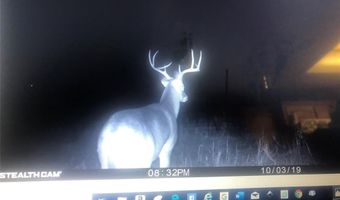 188 Fcr 941, Teague, TX 75860