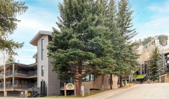 700 S Monarch St 207, Aspen, CO 81611
