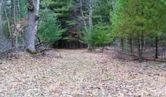 255 45 Ac Dover Dr, Adams, WI 53910