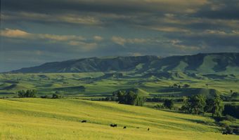 77 Sand Creek Ranch Rd, Buffalo, WY 82834