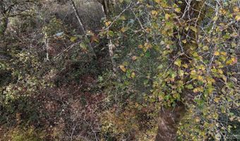1 W Lake Samish Dr, Bellingham, WA 98229