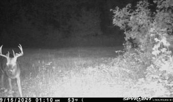 8752 HWY A, Almond, WI 54909