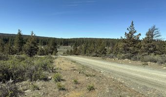 Bluebill Lane Lot 3, Bonanza, OR 97623