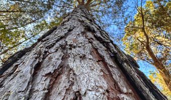 0 County Road 25, Reform, AL 35481