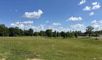 0 Jim Drewery Dr, Booneville, MS 38829