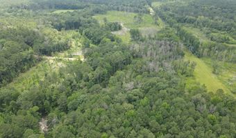 399 Wakefield Ln, Brookhaven, MS 39601