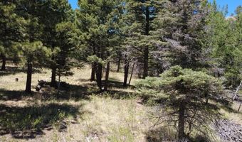 Spanish Peaks Dr, Aguilar, CO 81020