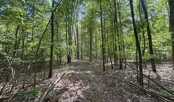V/L 43.5A 104th Avenue, Allegan, MI 49010