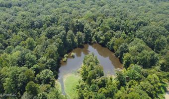1 Champion Hill Rd, Bolton, MS 39041