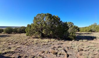68 N 8171, Concho, AZ 85924
