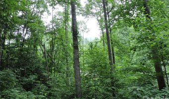 963 Melton Branch Rd, Bakersville, NC 28705