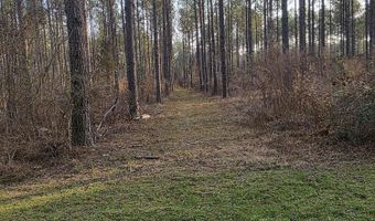 U.S. Highway 51, Bogue Chitto, MS 39629