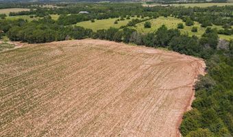 81 3+/- Acres SW Boyer Rd, Augusta, KS 67010