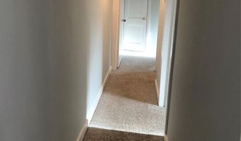 424 Skyland Ave, Charlotte, NC 28205