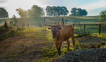 6152 County Road O-527, Ava, MO 65608