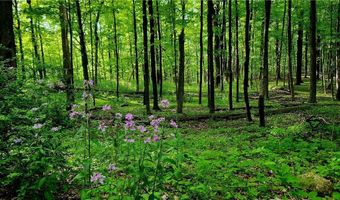 34 Stonykill & Granite Rd, Accord, NY 12404