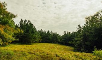 1037 Cr 300, Big Creek, MS 38914