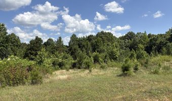 Beauty Hill Rd lot 3, Bethel Springs, TN 38315