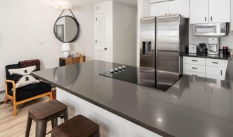 100 E DEAN St 1D, Aspen, CO 81611