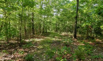Private Drive Off Of Fr 1245, Aurora, MO 65605