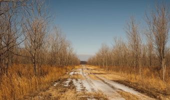 3300 Sheppard Island Rd, Altheimer, AR 72004
