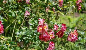 3920 Porter Gulch Rd, Aptos, CA 95003