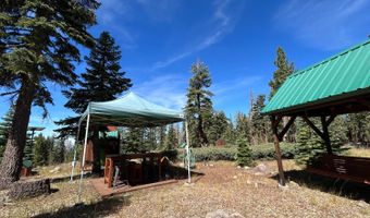 60 Liberty Rd, Arnold, CA 95223