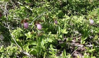 W McMann & Meadow Roads lot 13-1, Addison, ME 04606