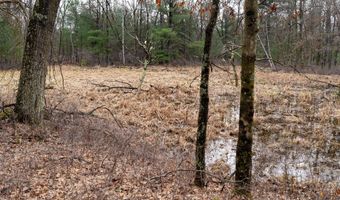 Dover Drive lot 1 14 Ac, Adams, WI 53910