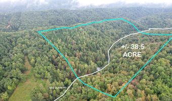 1515 Ned Clark Rd, Bean Station, TN 37708