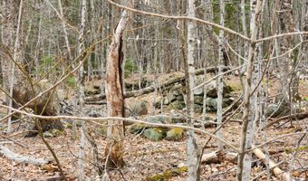 0 Clarks/Woodland Trl 409-4, Alexandria, NH 03220