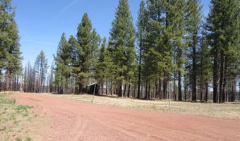 56236 Parazoo Trl, Bly, OR 97622