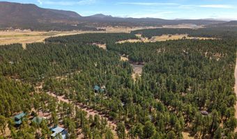 8 County Road 2083, Alpine, AZ 85920