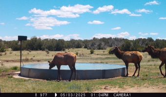 001 CR 40.2, Branson, CO 81027