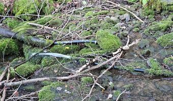 Shaver Hollow, Andes, NY 13731