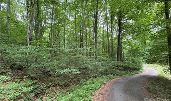 9999 Countryside Est, Barnardsville, NC 28709