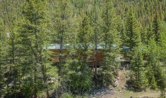 11109 County Road 742, Almont, CO 81210